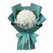 Букет цветов из:  Гортензия #REPLACE_PRED# Тиликтино
